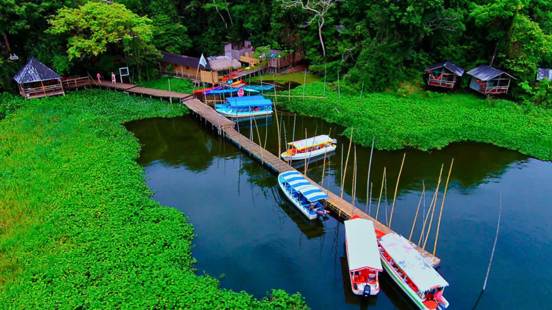 Recorrido a Reserva de Nanciyaga con BoteTur, Los Tuxtlas